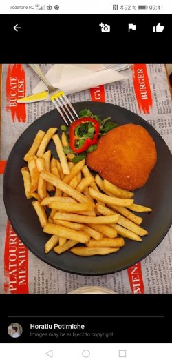 Meniu gordon bleu 720gr image