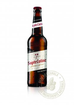 ȘapteColine Neagra image