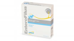 Enterofilus