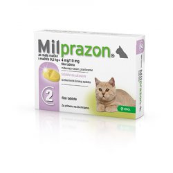 Milprazon Kitten